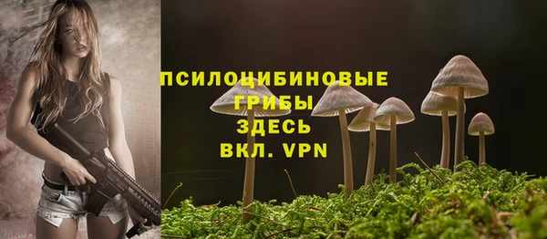бошки Алексеевка