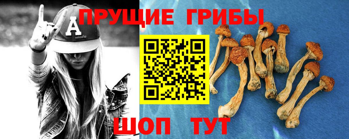 Изобильный  Псилоцибиновые грибы ЛСД  наркота  Вход с VPN 
