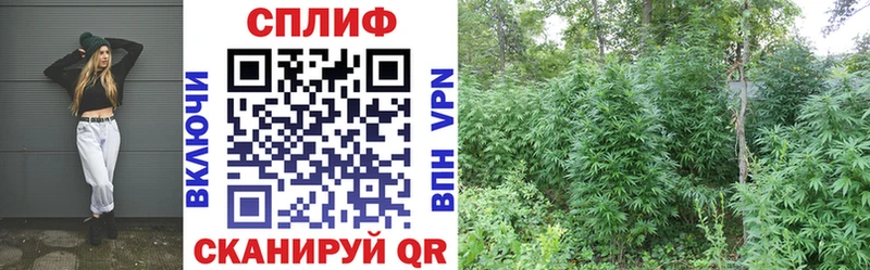 Бошки Шишки план  ОМГ ОМГ маркетплейс  Изобильный  наркотики 